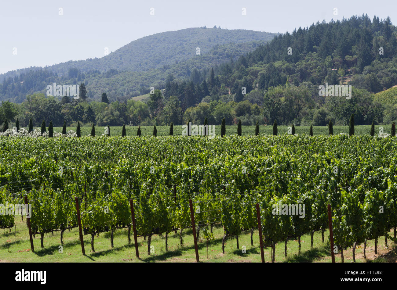 Sonoma Creek Stock Photos \u0026 Sonoma Creek Stock Images , Alamy