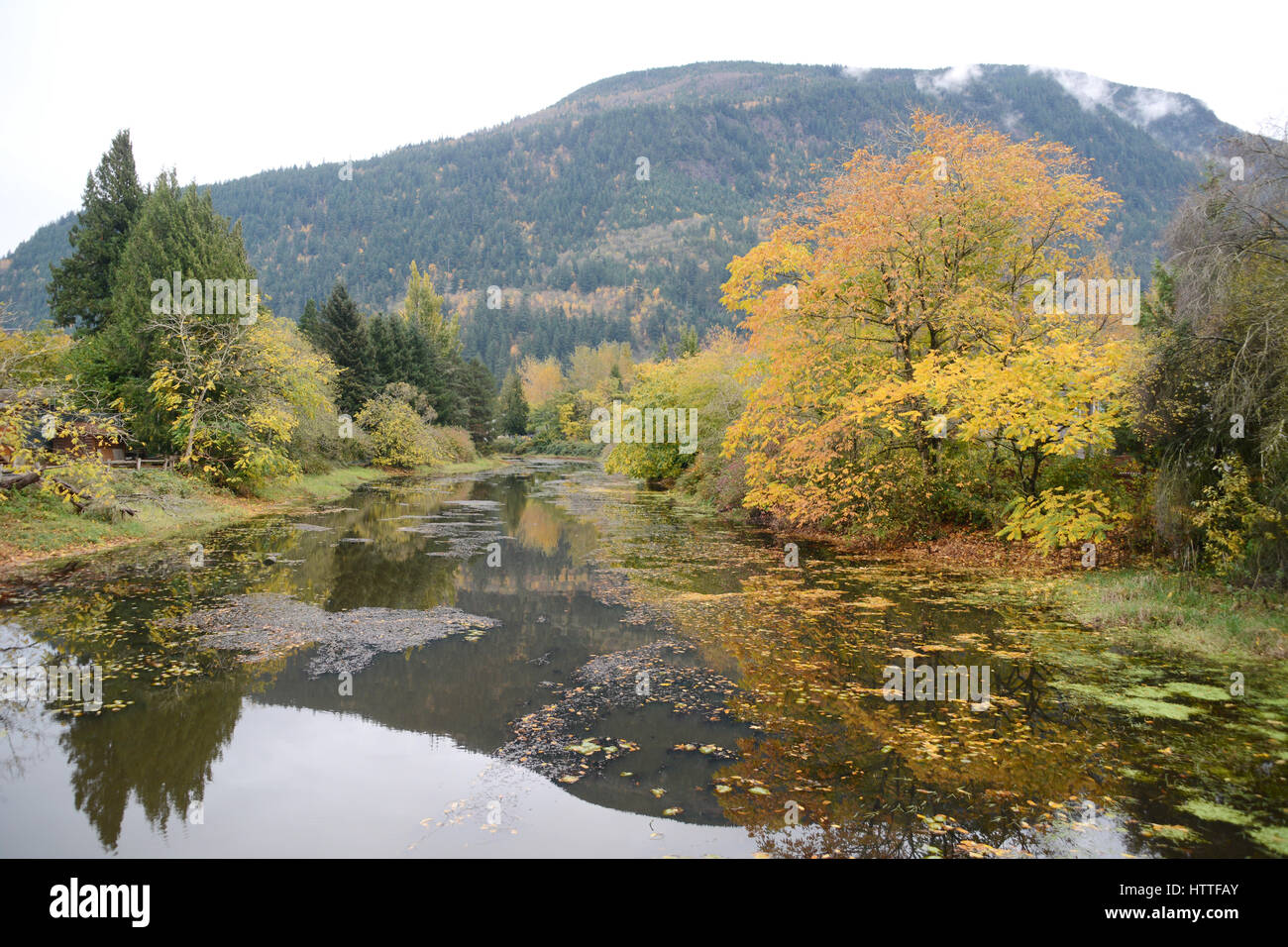 An autumn view of the Miami River near its mouth at Harrison Lake, in the town of Harrison Hot Springs, British Columbia, Canada. Stock Photo