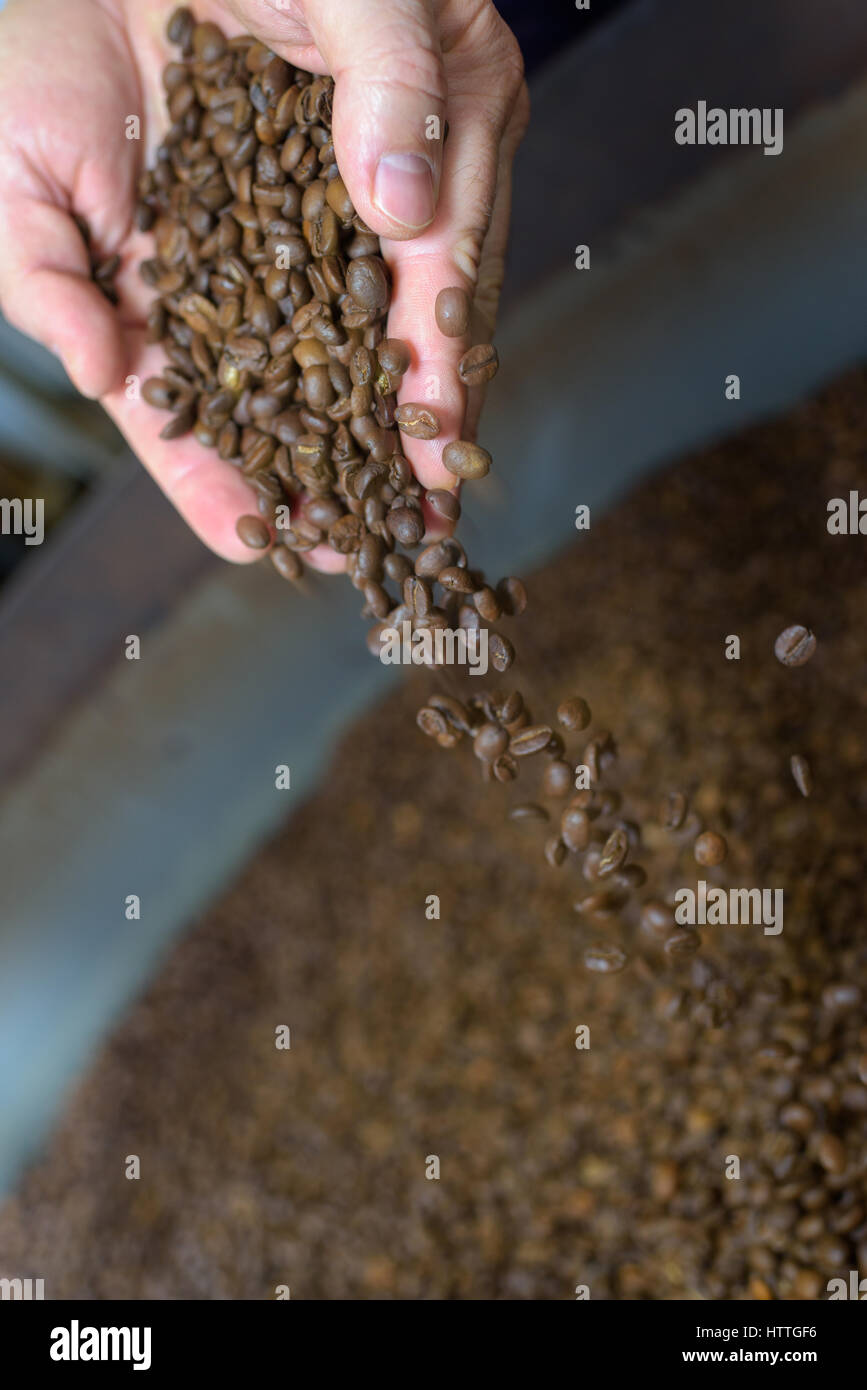 fresh roasted beans Stock Photo Alamy