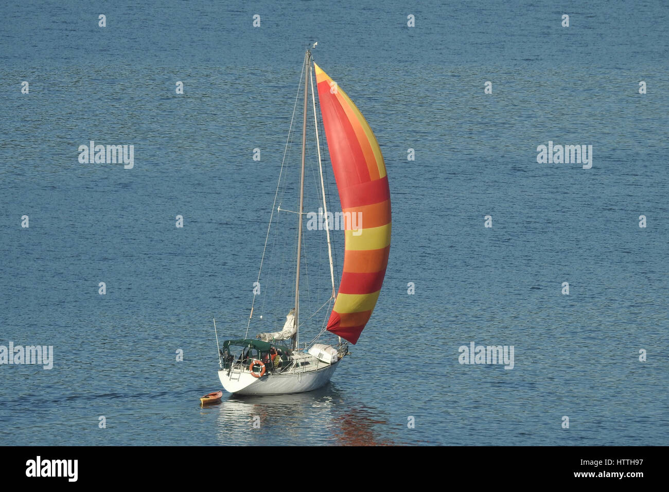 single sailboat