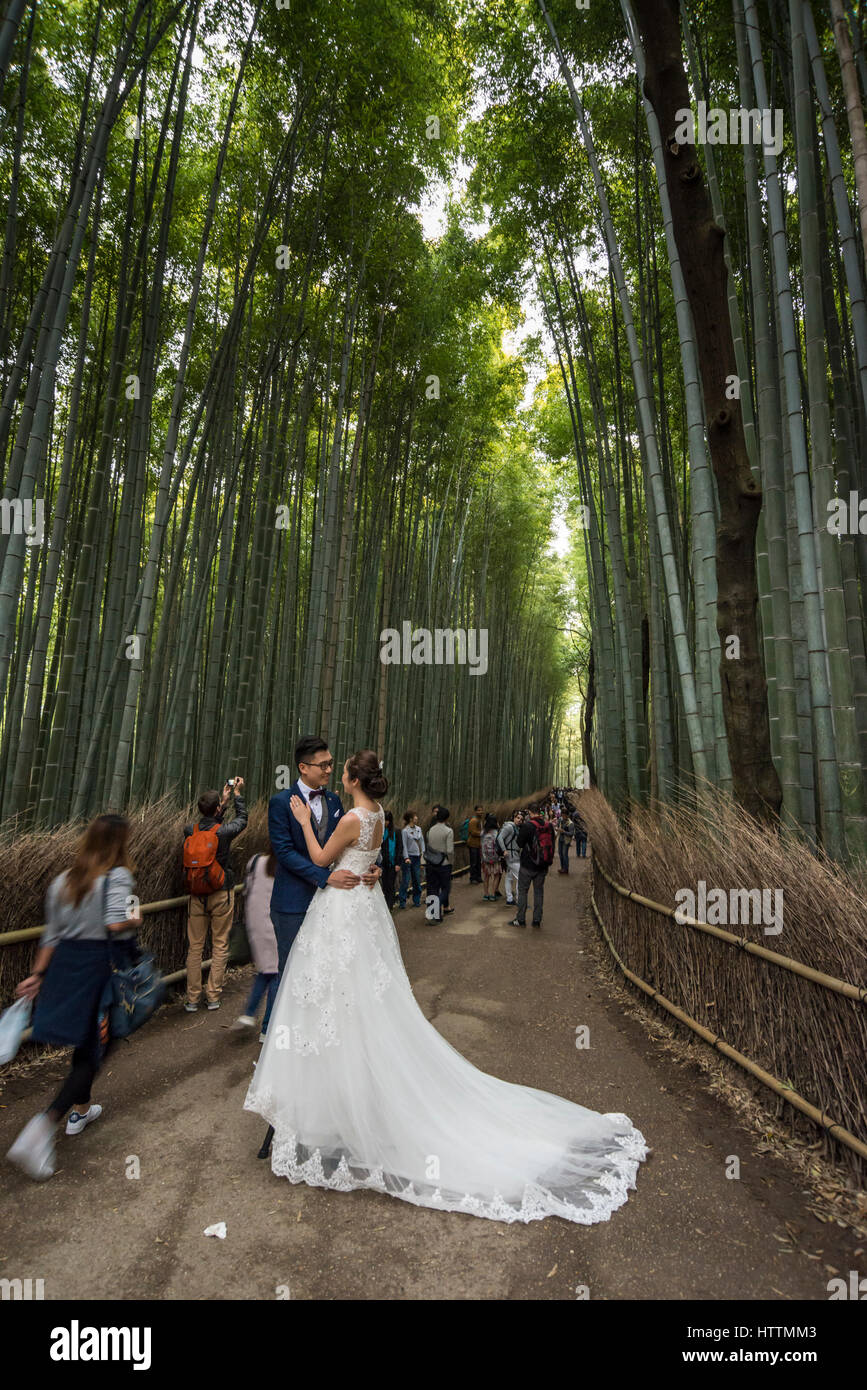 A newly wed couple having their wedding photos taken at the Arashiyama Bamboo Grove, Kyoto, Japan Stock Photo
