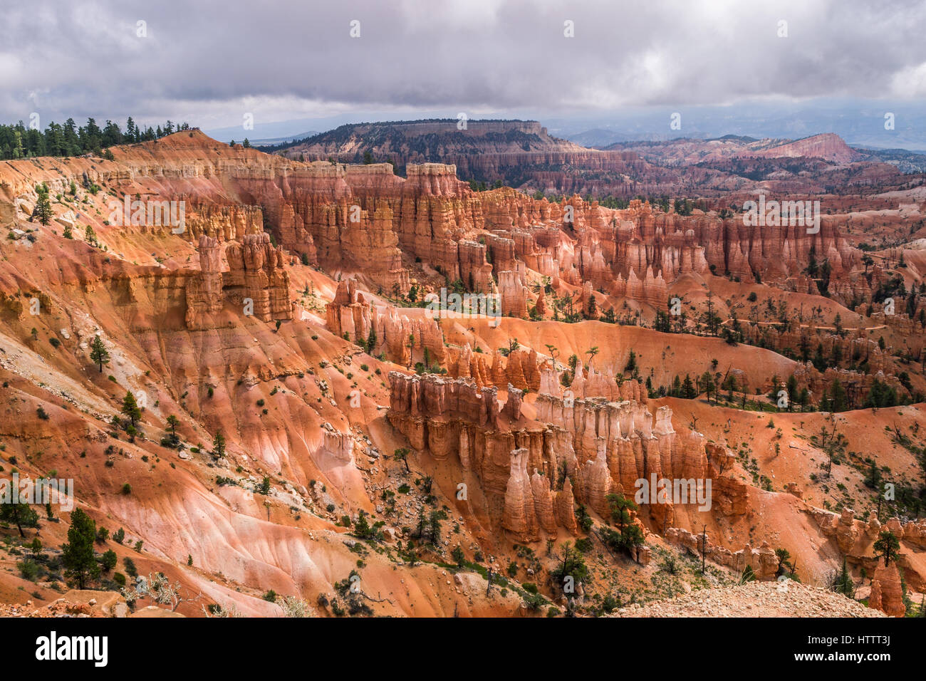 Morning lights on Bryce Canyon, Utah. View from Sunset Point. Stock Photo