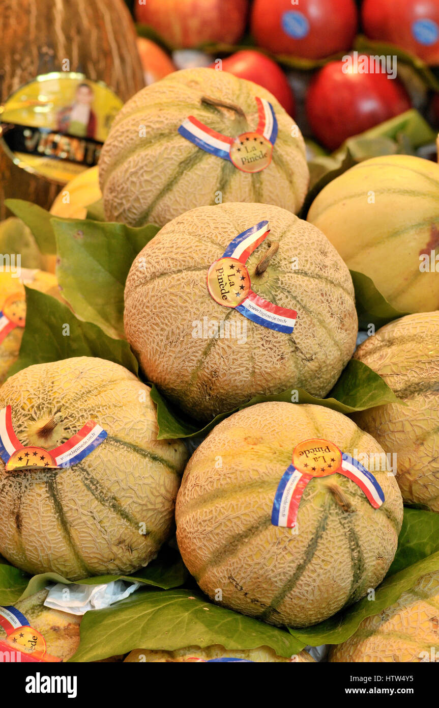Cantaloup melons for sale Stock Photo Alamy