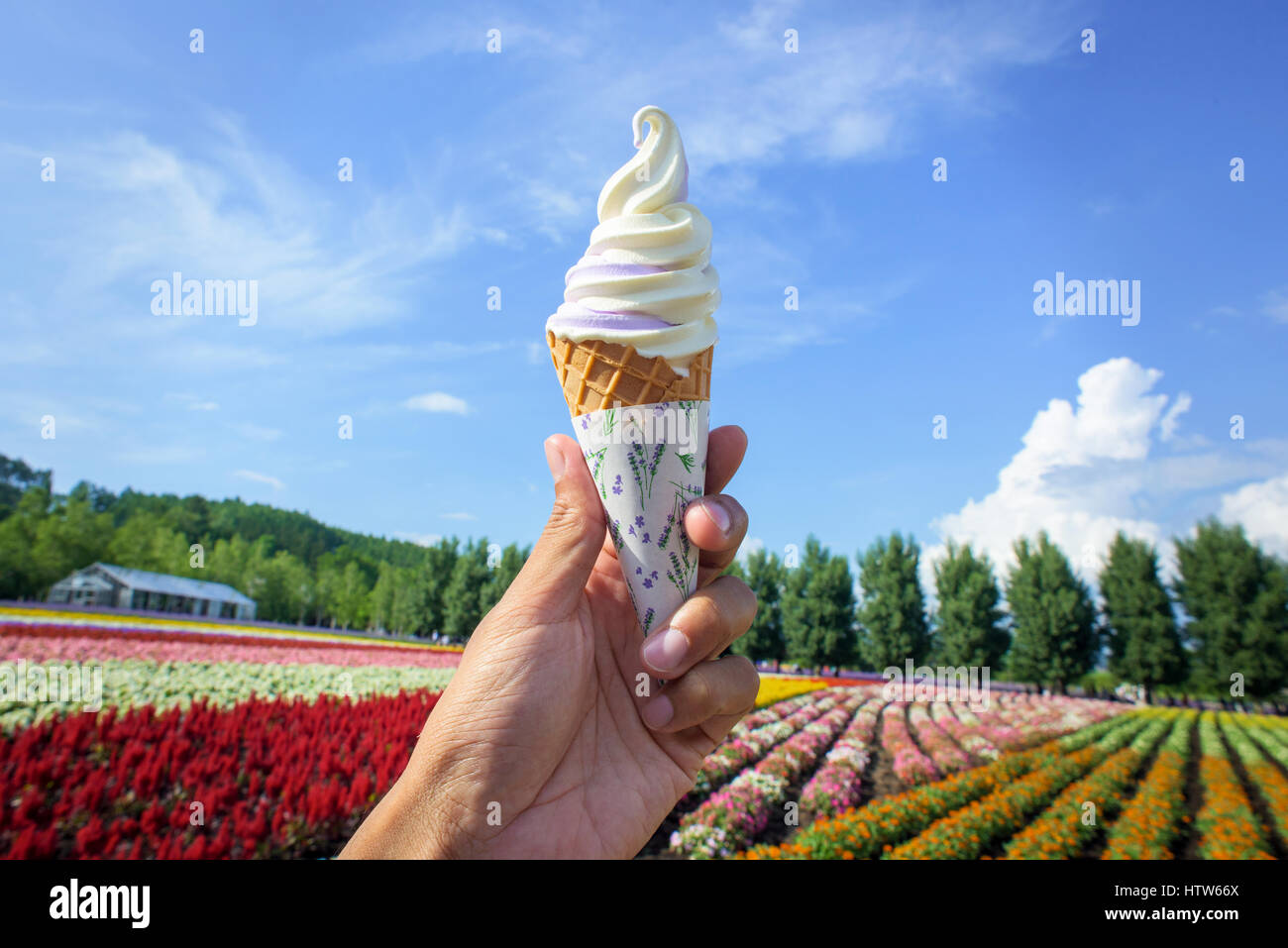 Soft vanilla ice cream in cone hi-res stock photography and images - Alamy