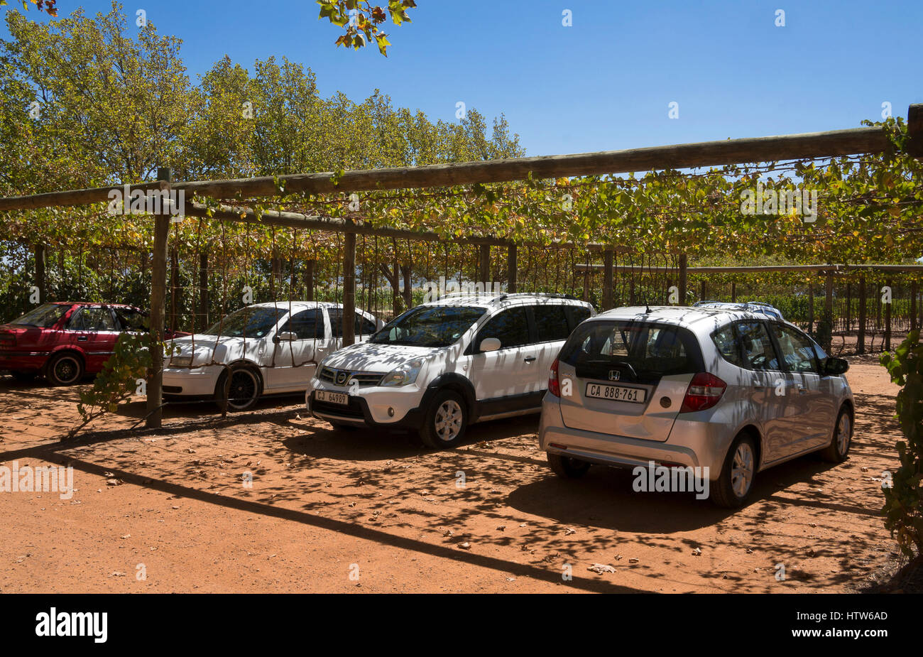 Babylonstoren gardens,western cape,South Africa Stock Photo