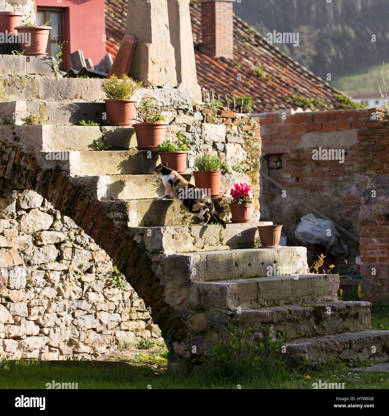 Going up stairs hires stock photography and images Alamy