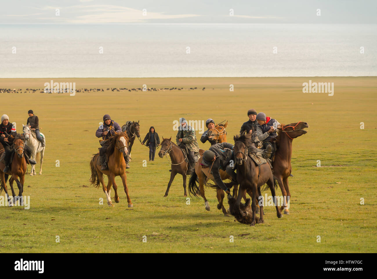 a game of kok-boro, kyrgyzstan Stock Photo