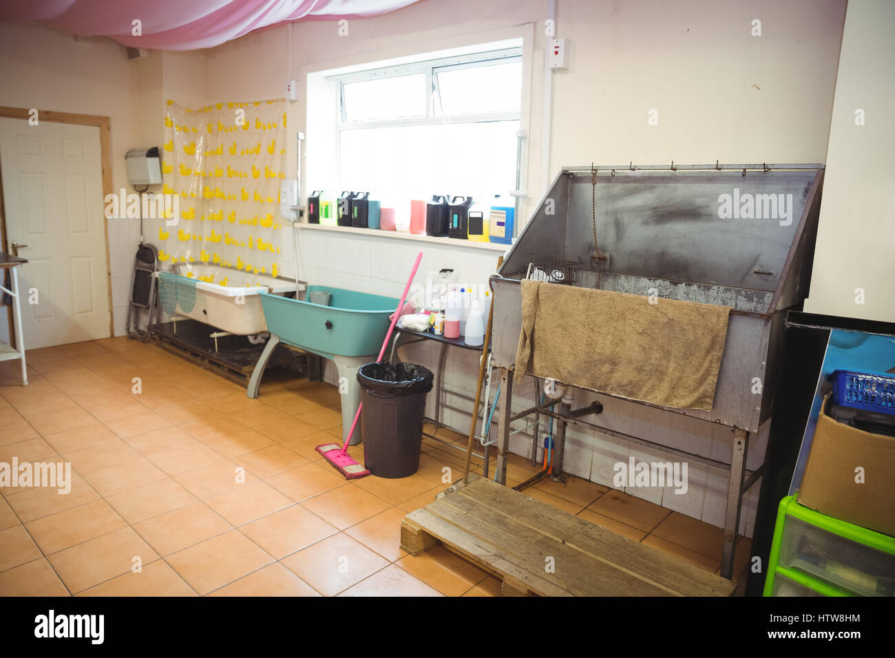 dog care centre near me