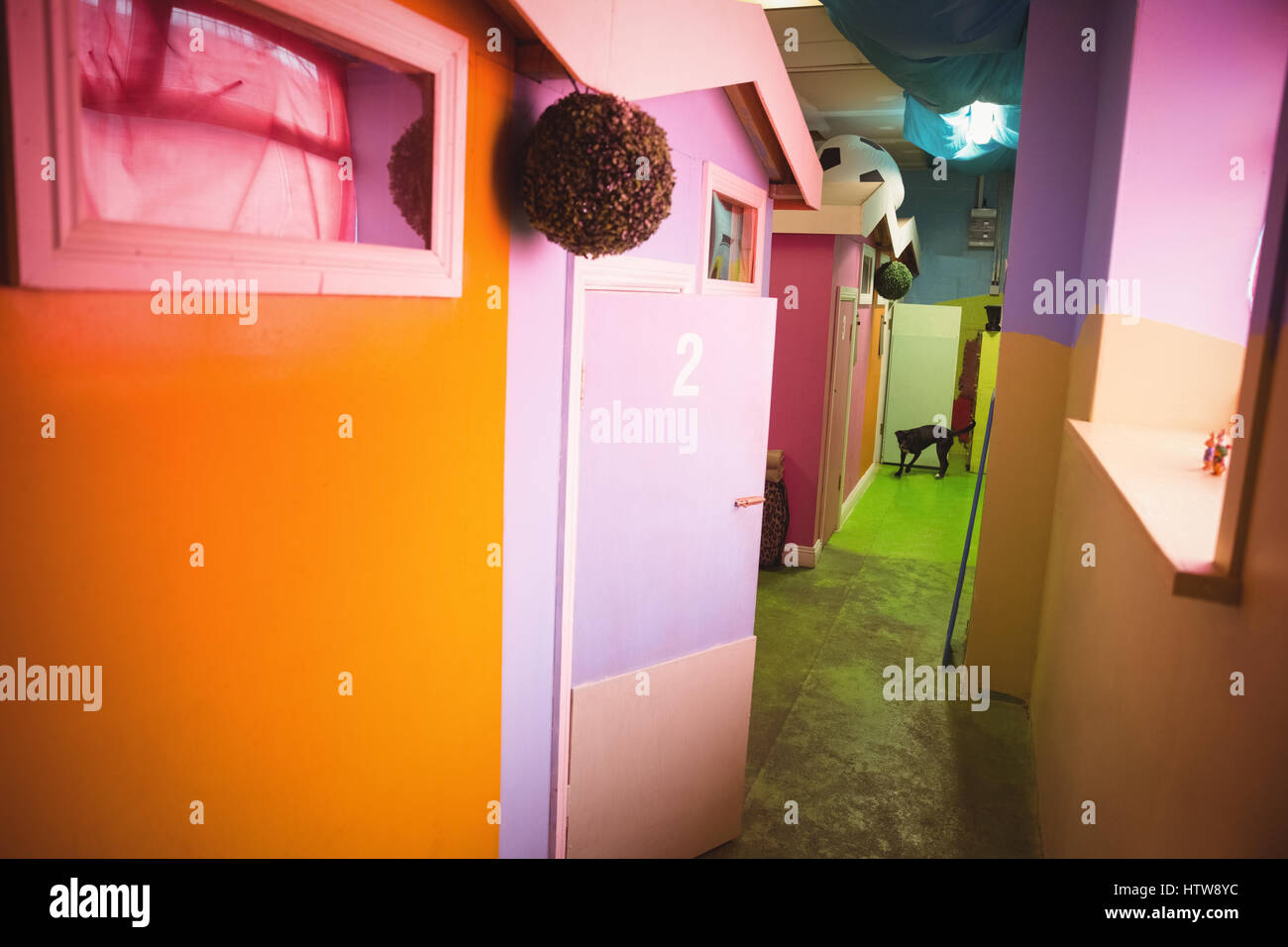 Doggy care hires stock photography and images Alamy