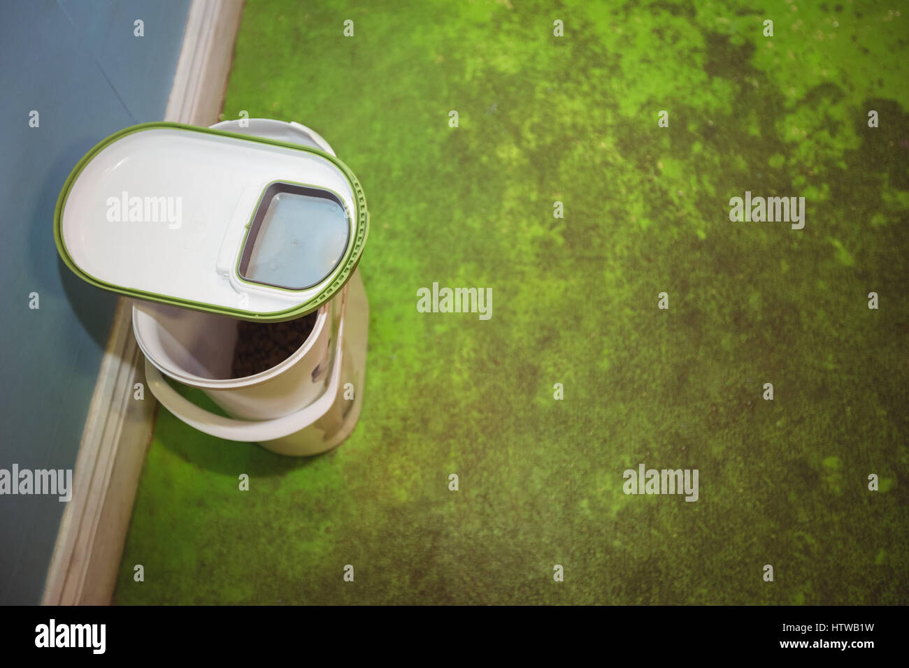 Dog food in plastic container on the floor Stock Photo Alamy