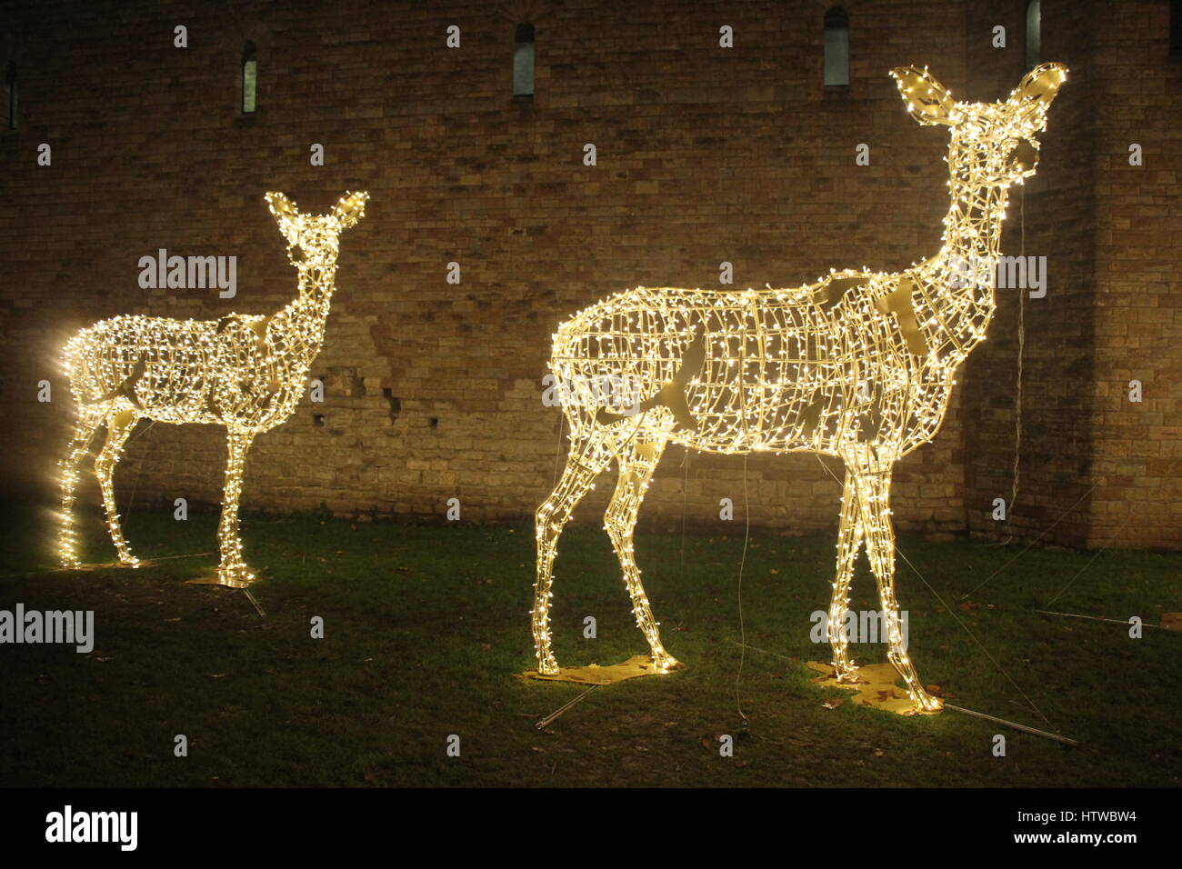 Cardiff Christmas lights Stock Photo Alamy
