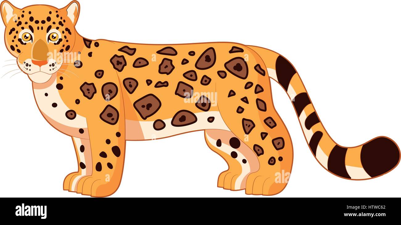 Cartoon Jaguar Animal Pictures