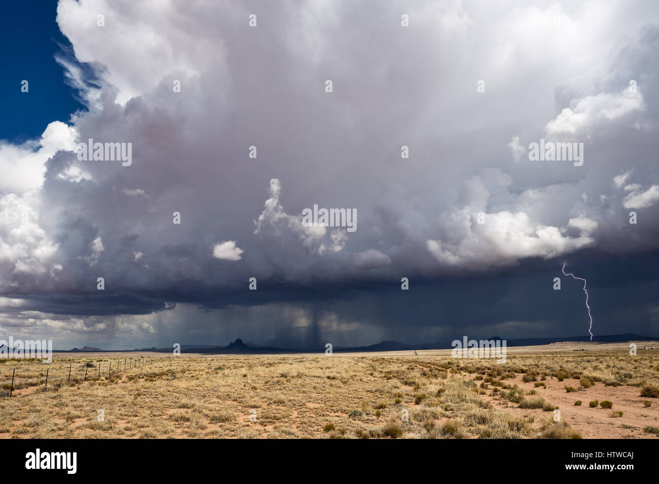 Cumulonimbus cloud and lightning from a thunderstorm in the Arizona desert Stock Photo