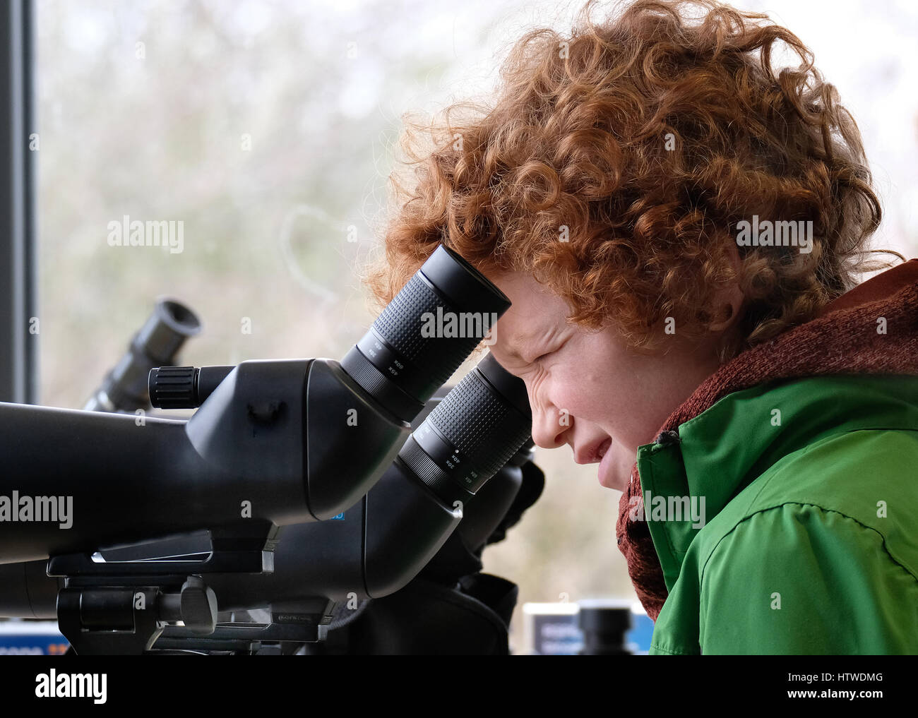 Child looking through test spotting scope at bird watching centre in interest. Stock Photo