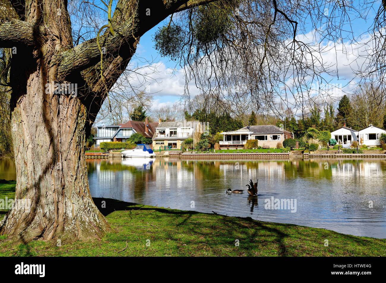 Runnymede Pleasure Ground by the River Thames Surrey UK Stock Photo Alamy