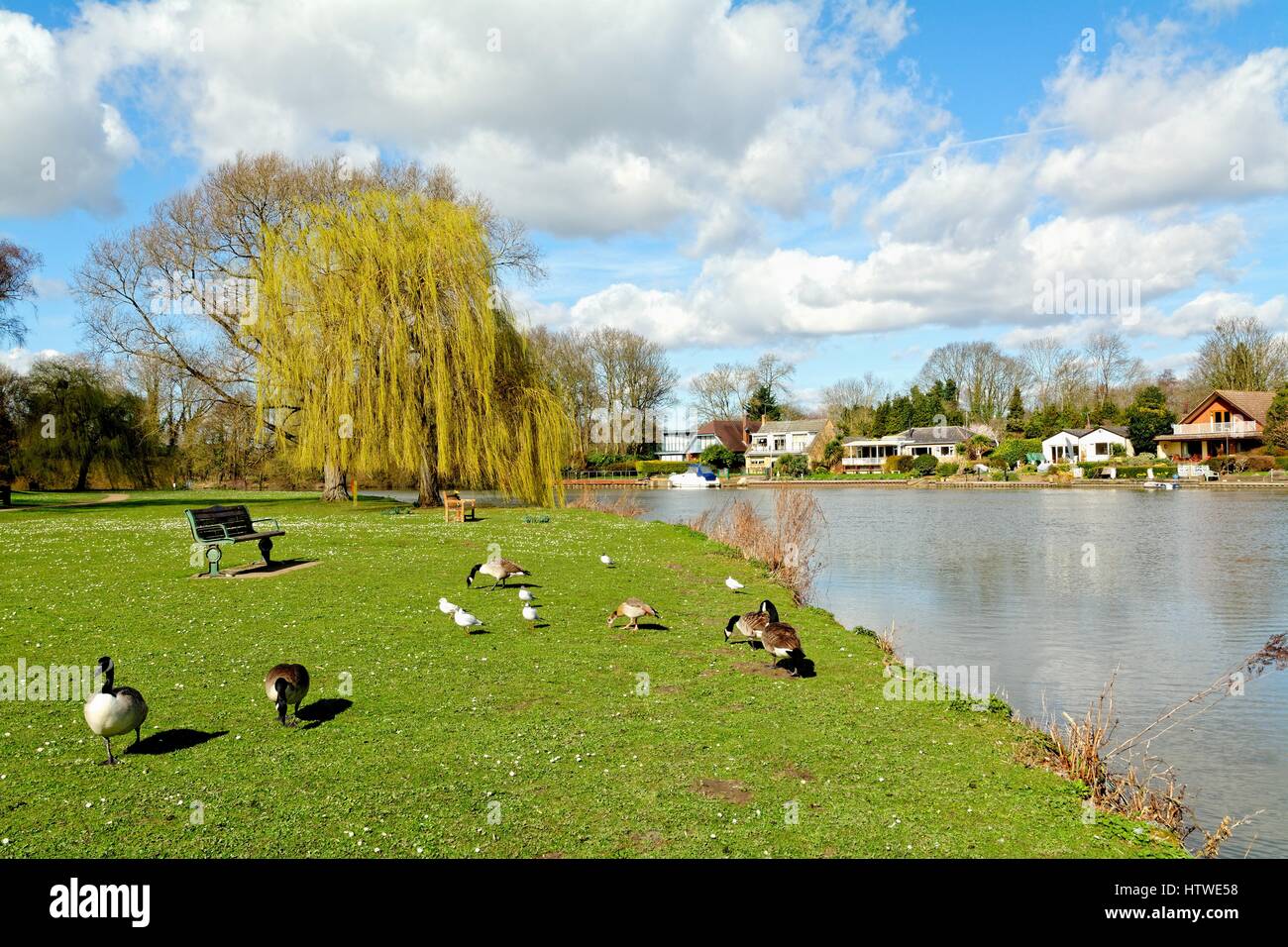 Runnymede Pleasure Ground by the River Thames Surrey UK Stock Photo