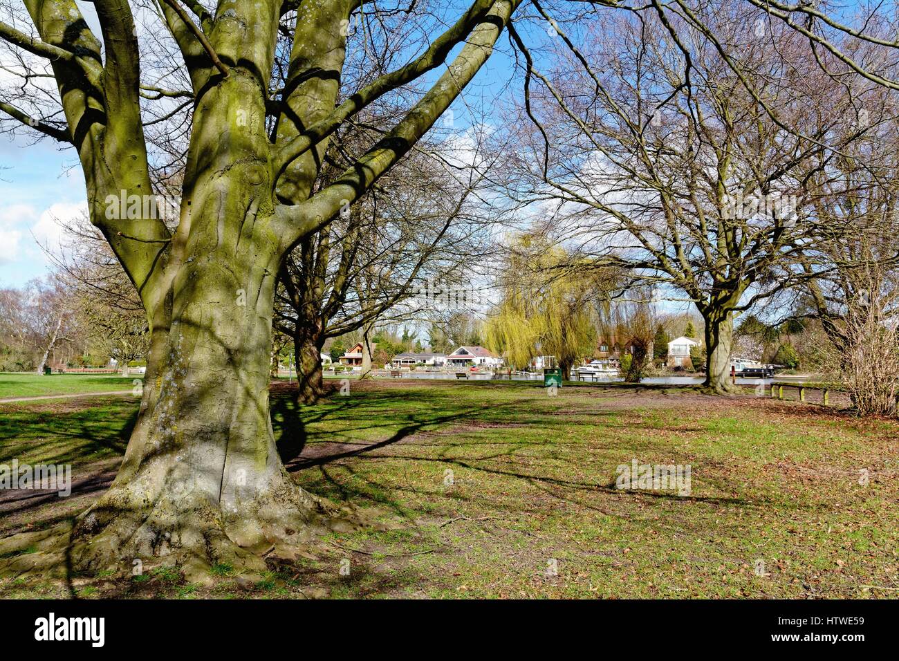 Runnymede Pleasure Ground by the River Thames Surrey UK Stock Photo Alamy