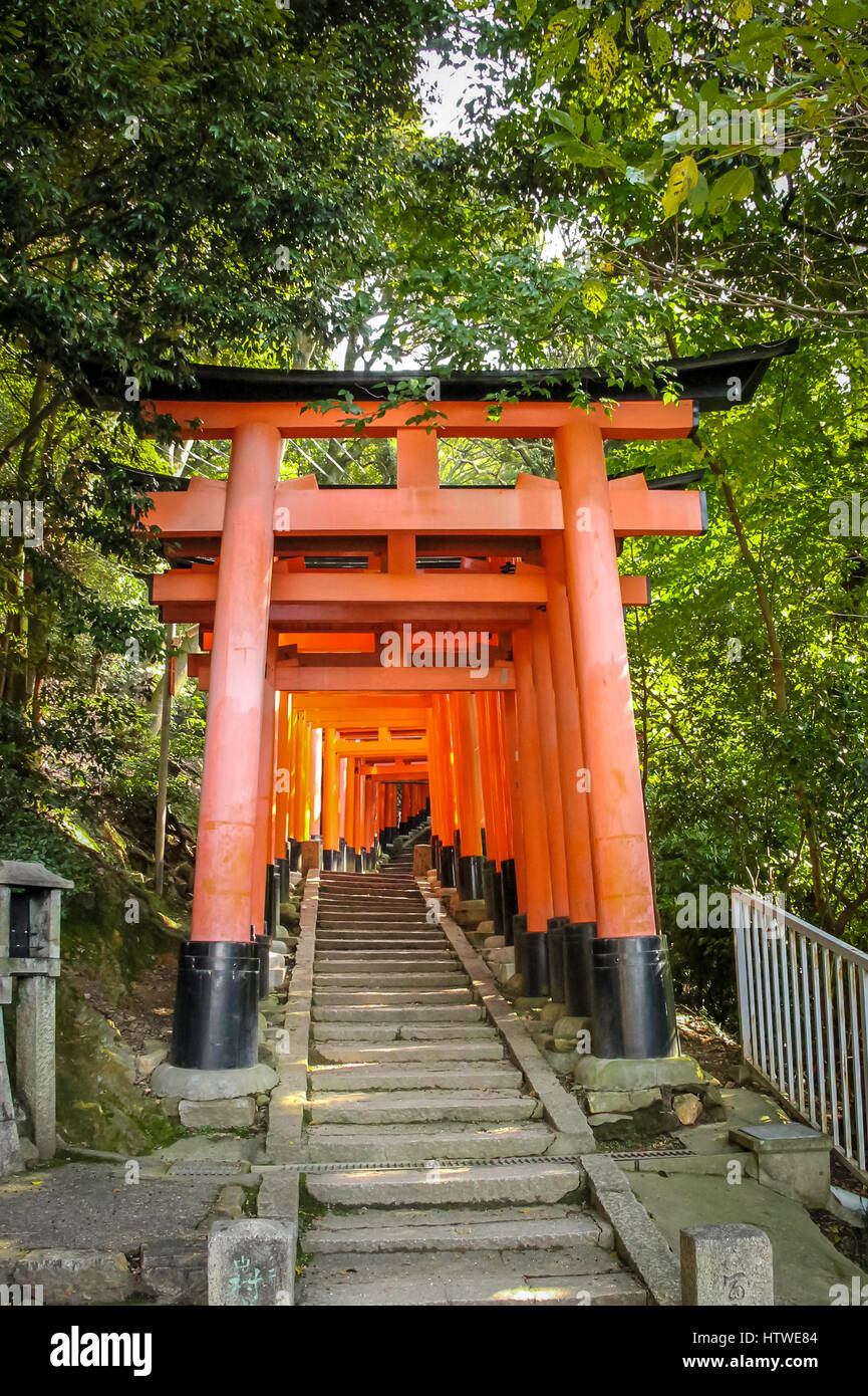 Torii gates in Fushimi Inari Shrine - Kyoto, Japan Stock Photo - Alamy
