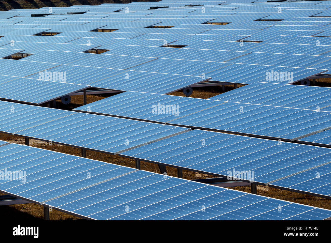 Solar panels in array Capturing sunlight to convert it to green ...