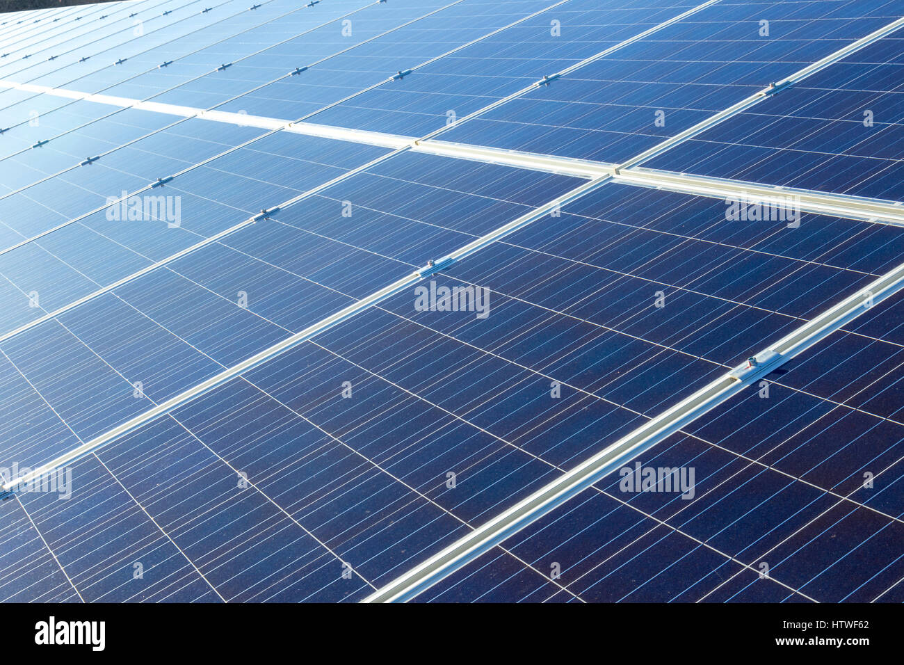 Solar panels in array Capturing sunlight to convert it to green ...
