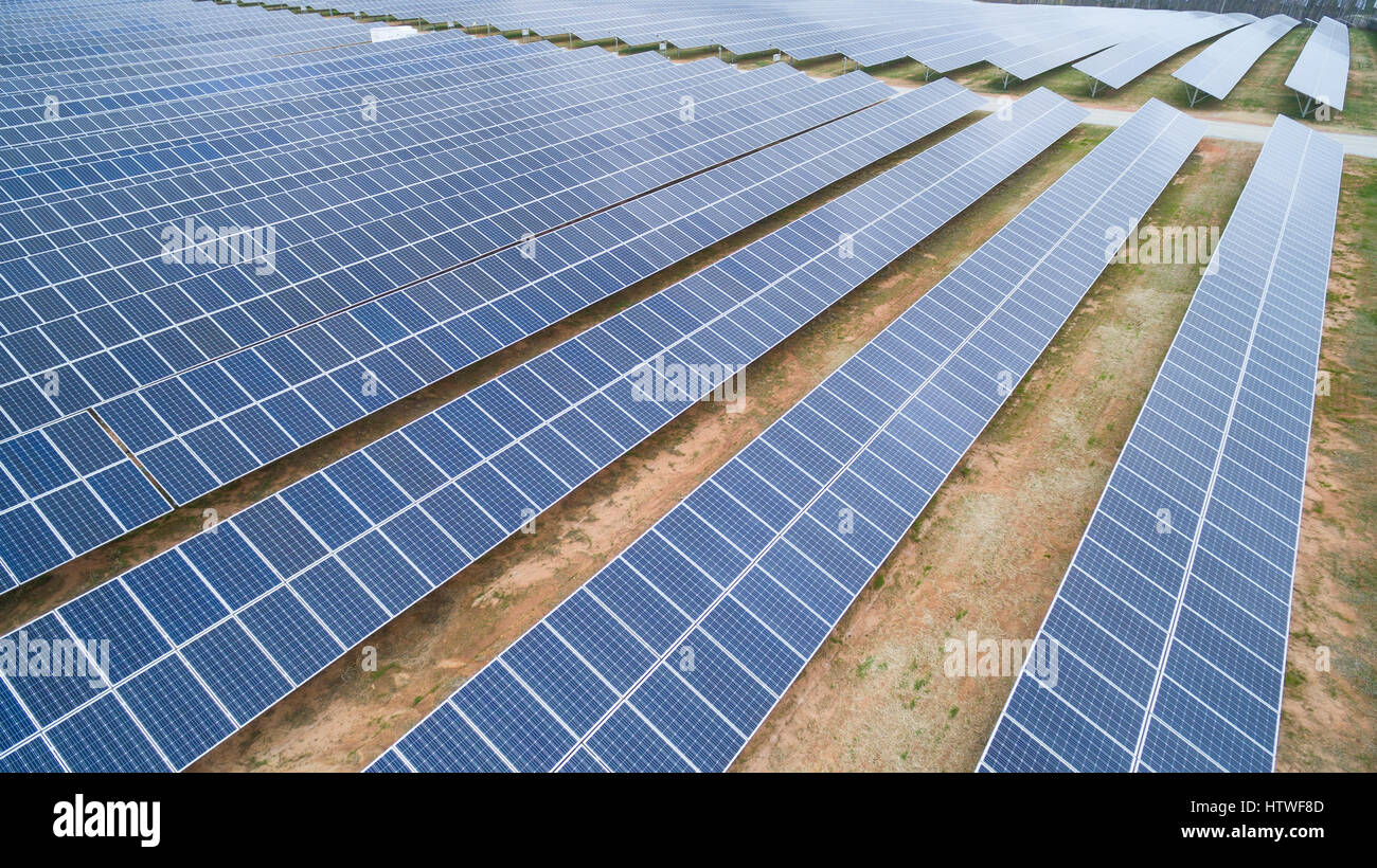 Solar panels in array Capturing sunlight to convert it to green renewable energy. It's clean. No pollution and no noise. Stock Photo