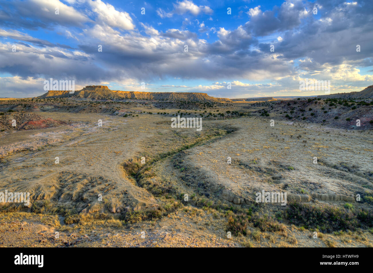 Dry wash in the Ojito Wilderness, New Mexico, USA Stock Photo - Alamy