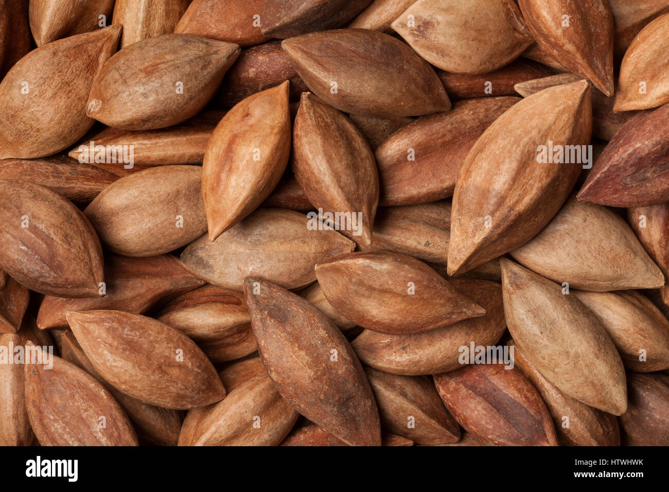 Unshelled pili nuts from the Philippines full frame Stock Photo