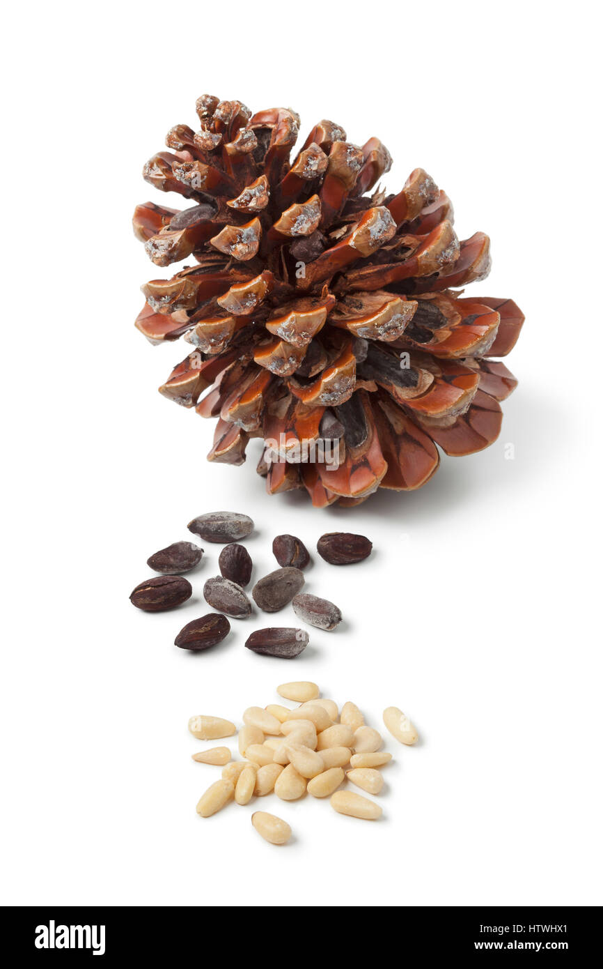 Stone pine cone, pinoli, and seeds on white background Stock Photo