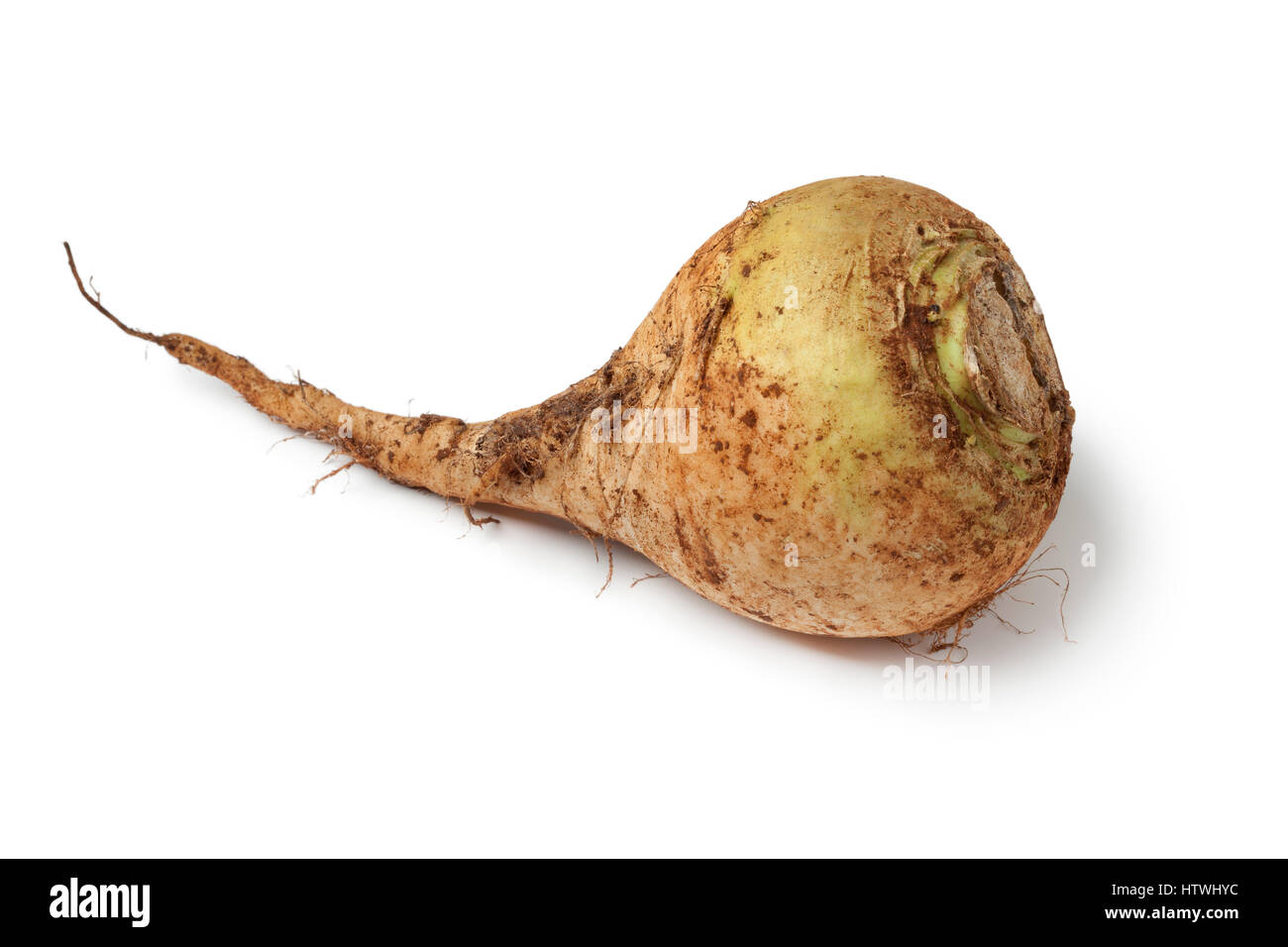 Moroccan fresh raw swede on white background Stock Photo
