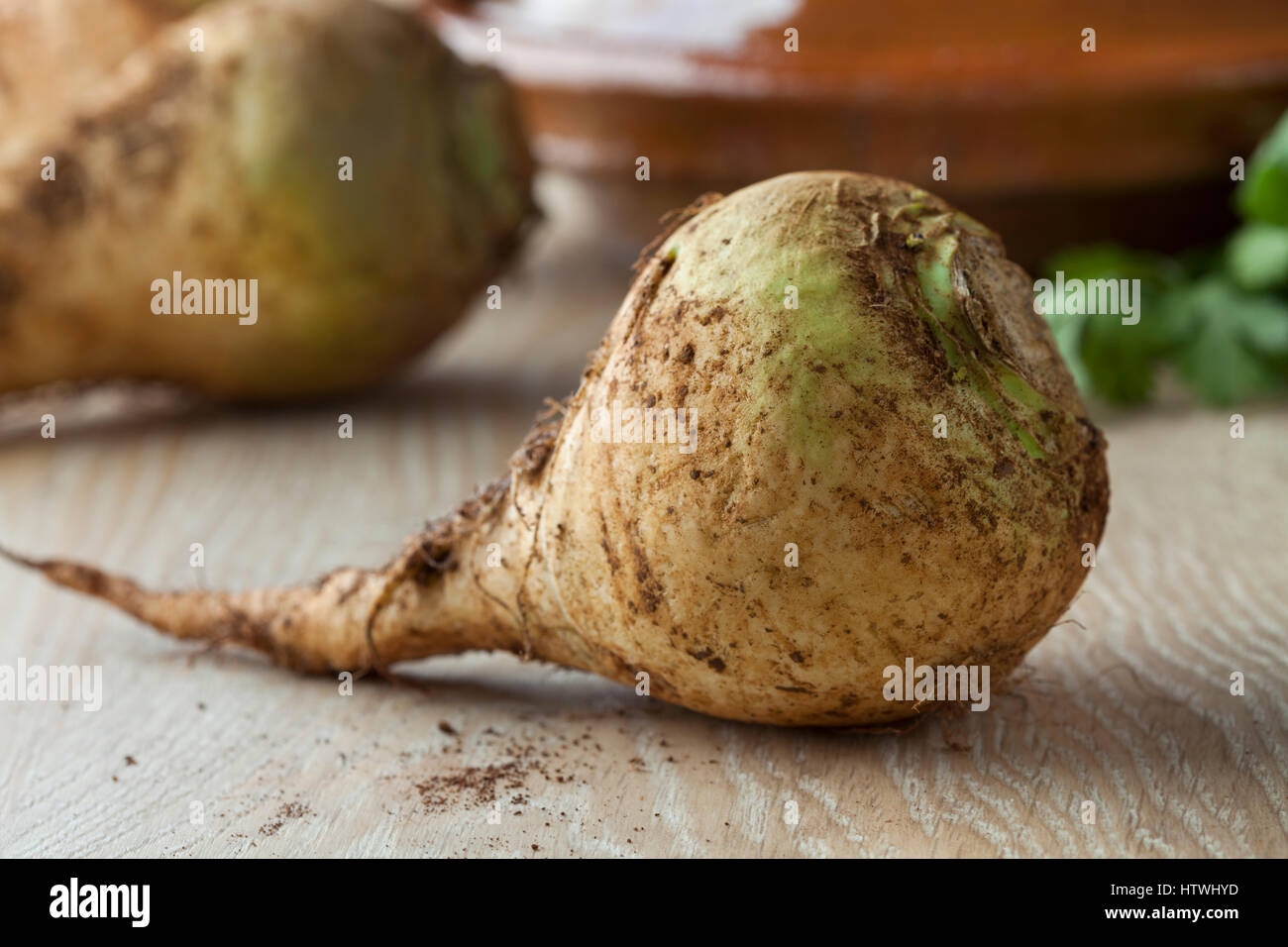 Moroccan fresh raw swede close up Stock Photo