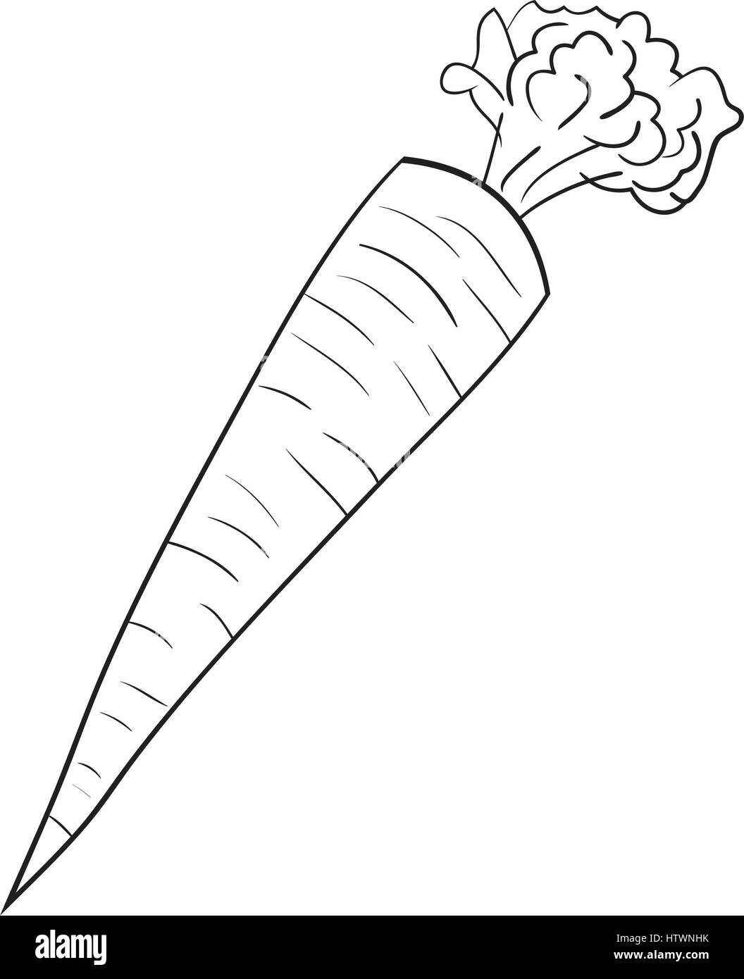 Illustration of Isolated Cartoon Carrot. Vector EPS 8. Stock Vector
