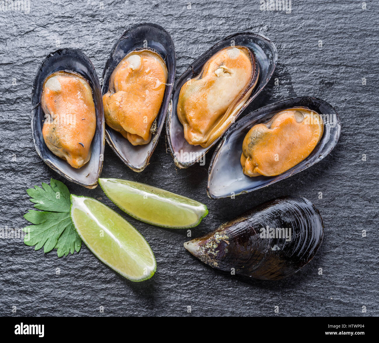 Boiled mussels on the graphite background. Stock Photo