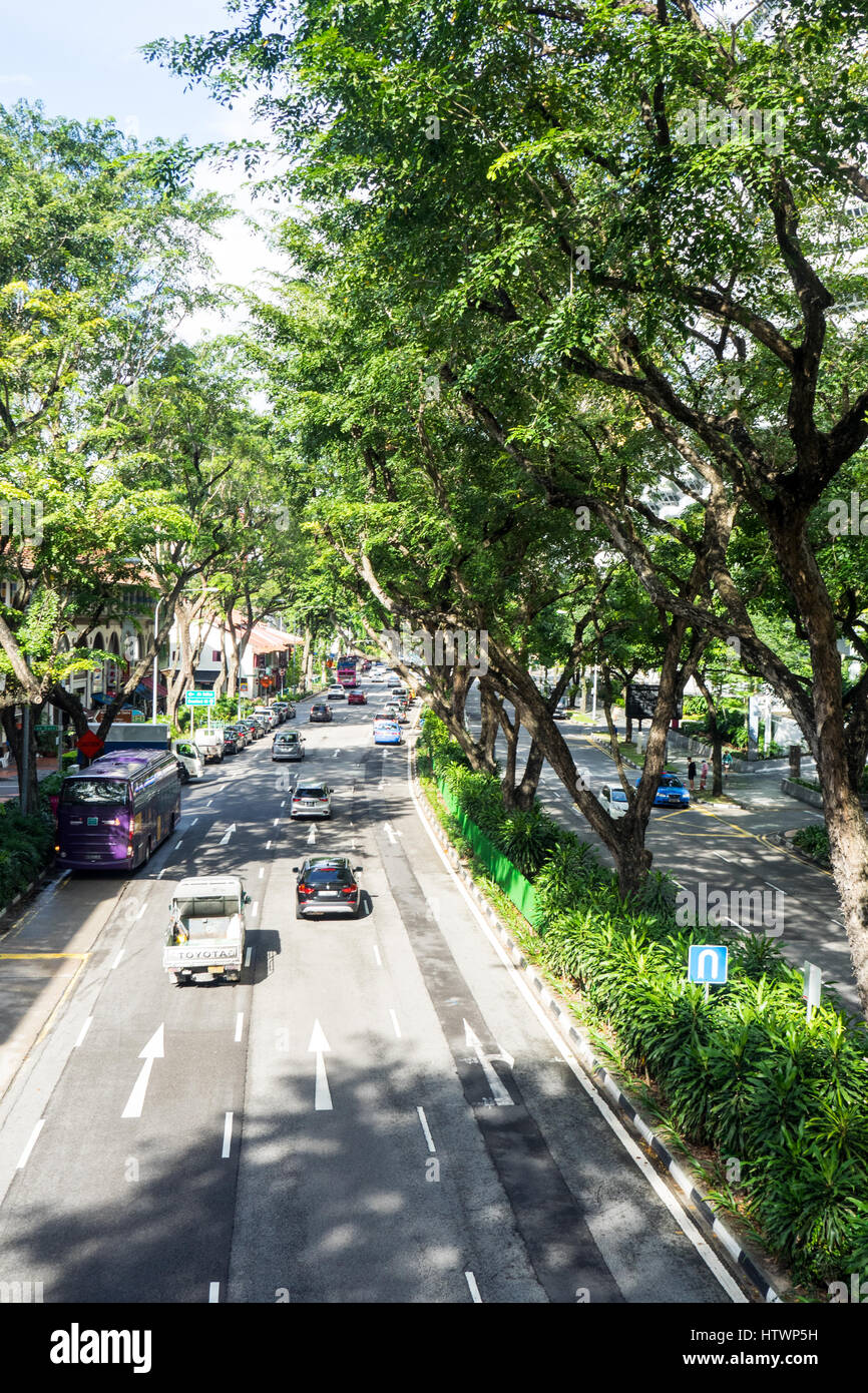 Tree lined dual carriageway Beach Road Singapore. Stock Photo