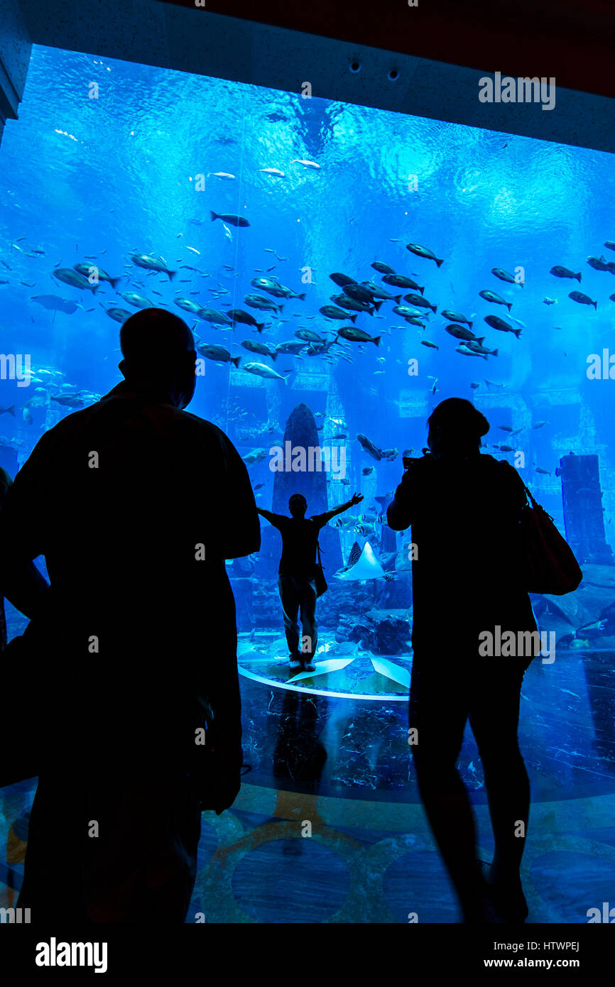 Atlantis the palm aquarium hires stock photography and images Alamy