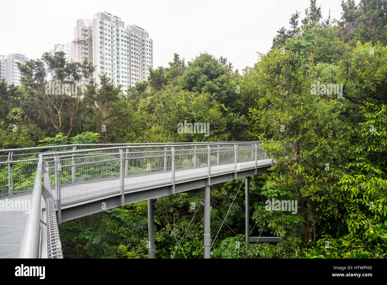 The Forest Walkway, an elevated walkway in Kent Ridge Park as part of the Southern Ridges Walk, Singapore. Stock Photo