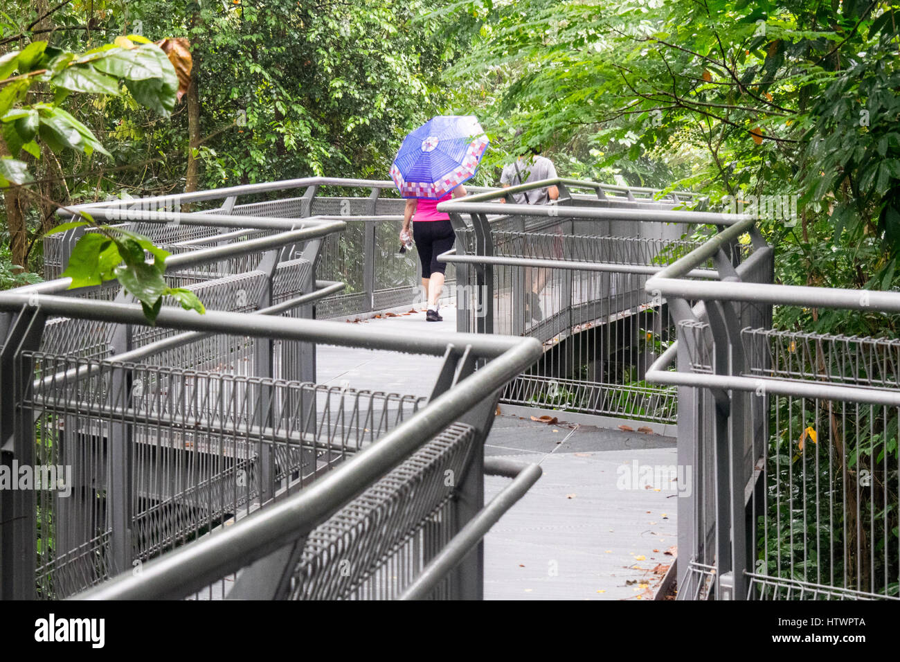 Tourists and local Singaporeans walking the Forest Walkway, an elevated walkway in Kent Ridge Park as part of the Southern Ridges Walk, Singapore. Stock Photo