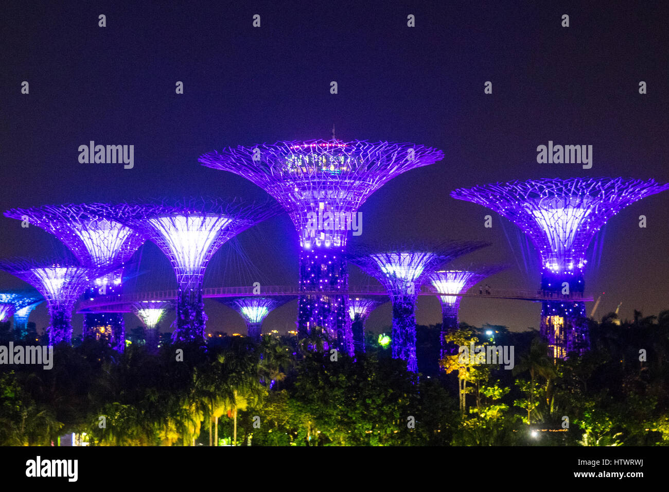 Light And Music Show Called The OCBC Garden Rhapsody Lighting Up The light-and-music-show-called-the-ocbc-garden-rhapsody-lighting-up-the