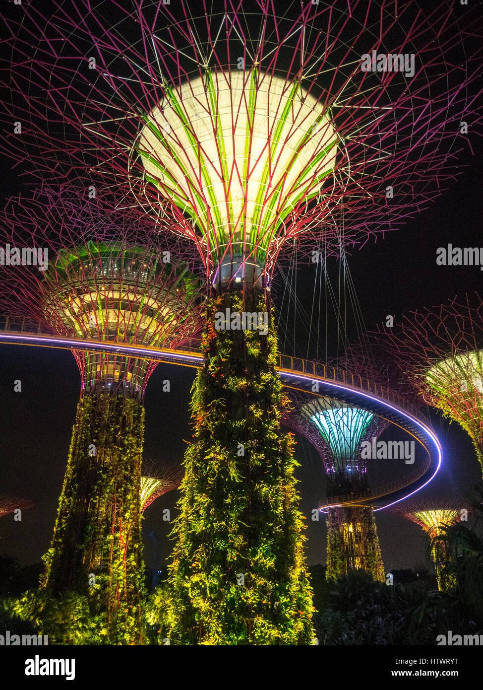 Tree-like structures called supertrees which are vertical gardens, lit at night, located in Gardens by the Bay, Marina Bay, Singapore. Stock Photo