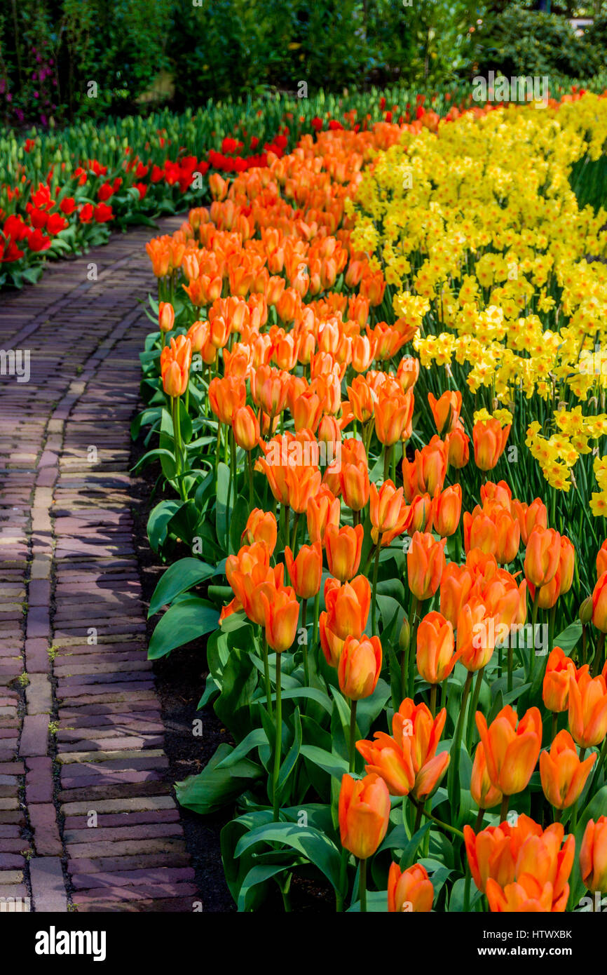 Flower garden. Beautiful park garden in spring. beautiful garden