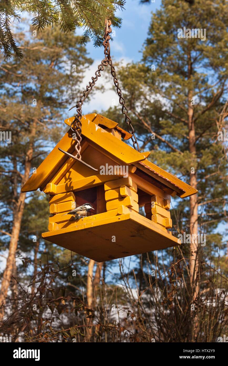Birdhouse in the woods. Food for small birds Stock Photo Alamy
