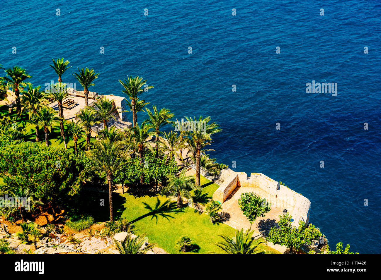 Aerial View Of Green Palm Trees And Blue Ocean Landscape Stock Photo
