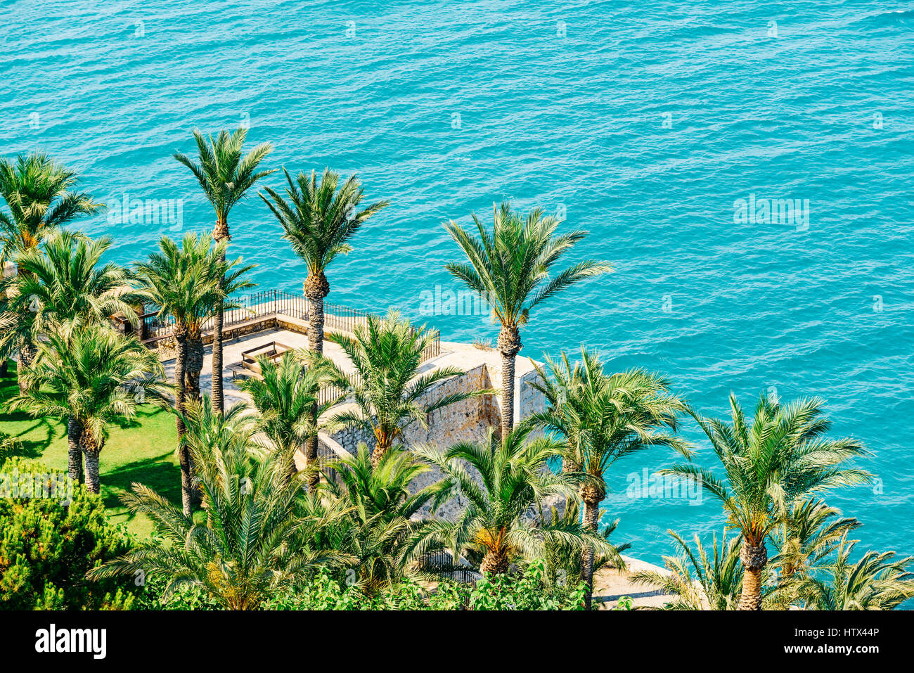 Aerial View Of Green Palm Trees And Blue Ocean Landscape Stock Photo ...
