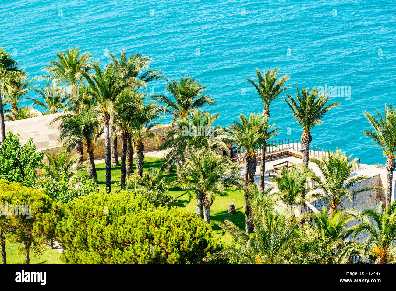 Aerial View Of Green Palm Trees And Blue Ocean Landscape Stock Photo