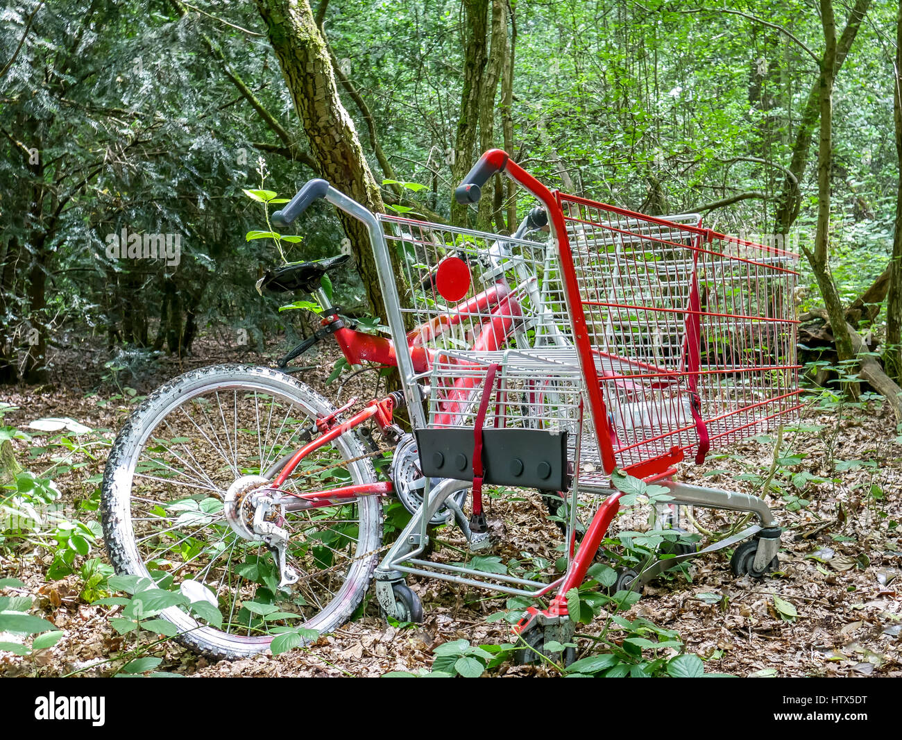 Red bicycle and shopping cart trolley abandoned in overgrown wood, London, England, UK Stock Photo