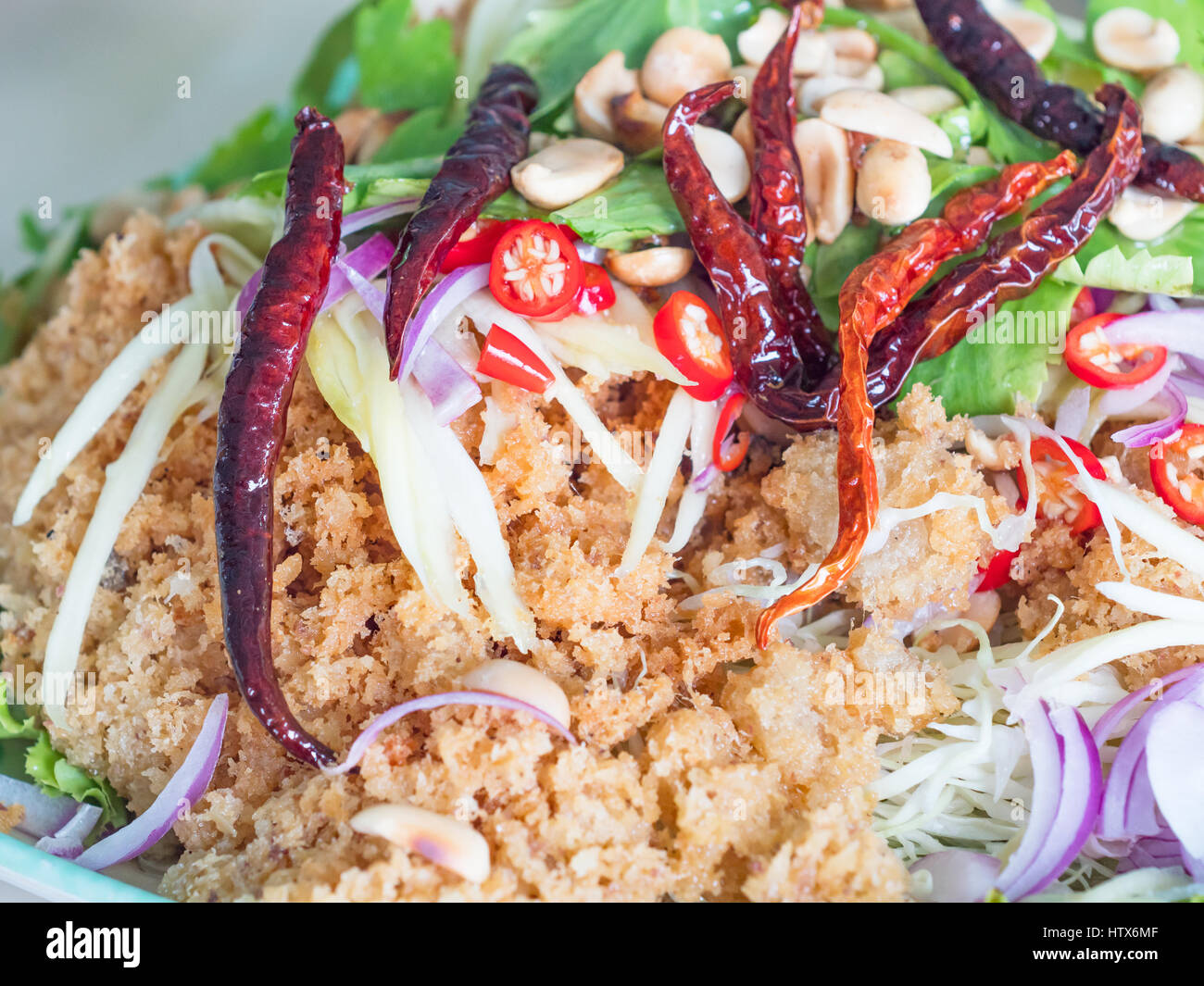 Yam pla duk foo, a classic Thai meal, consisting of minced and fried catfish, shredded green papaya, fresh and dried chili pepper, dry roasted peanuts Stock Photo