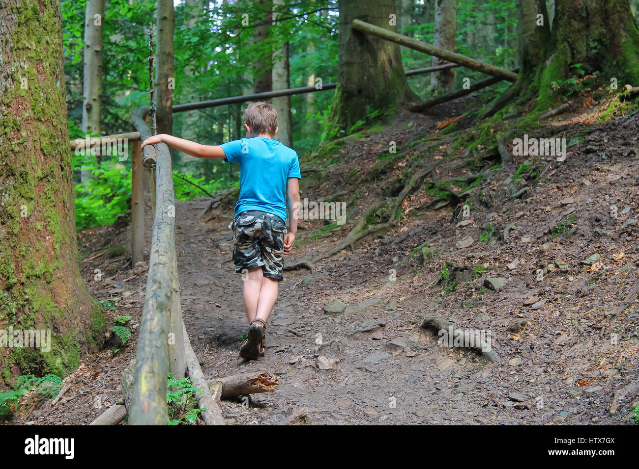 Boy walks among trees in forest park Stock Photo - Alamy