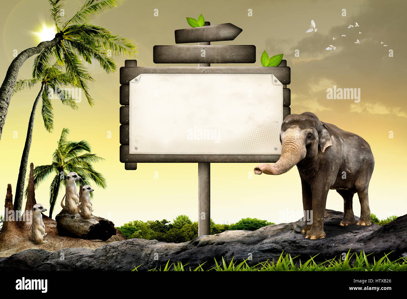Jungle animal montage hi-res stock photography and images - Alamy