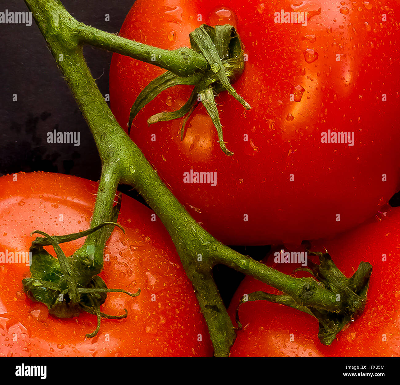 Close up Shot of Three Tomatoes Stock Photo