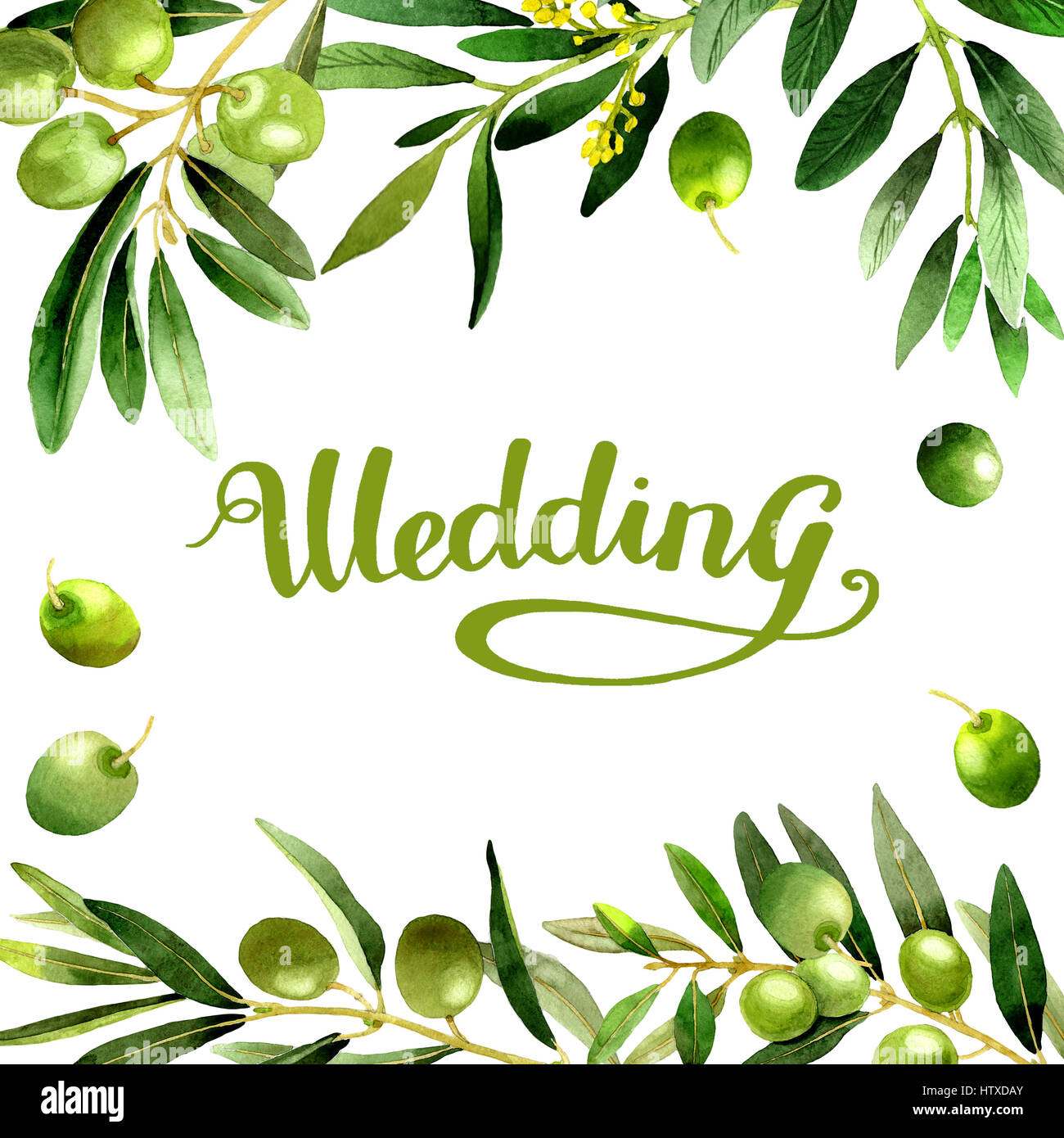 Olive tree frame in a watercolor style isolated Stock Photo - Alamy