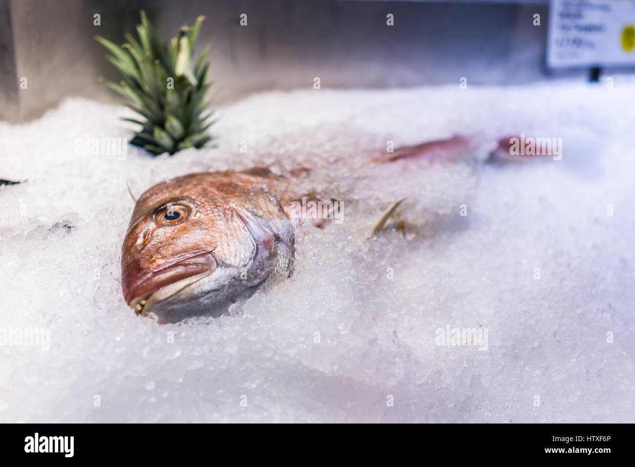 Red snapper on ice hi-res stock photography and images - Alamy